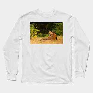 Red Fox look back - Algonquin Park Long Sleeve T-Shirt